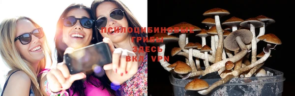 мдпв Красноперекопск