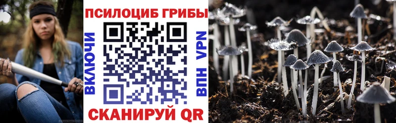 Купить закладки  Кумертау  Галлюциногенные грибы GOLDEN TEACHER 