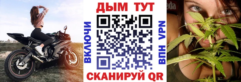 Купить где  Кумертау  МАРИХУАНА планчик 